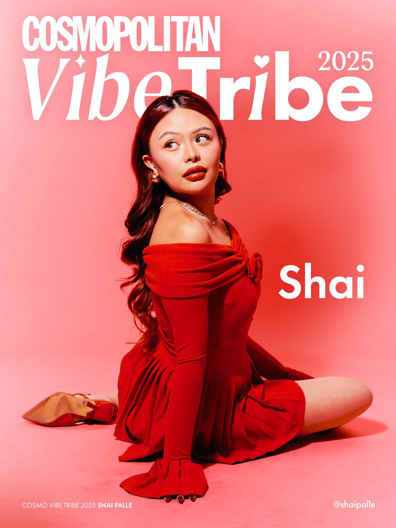 Cosmo Vibe Tribe Shai Palle